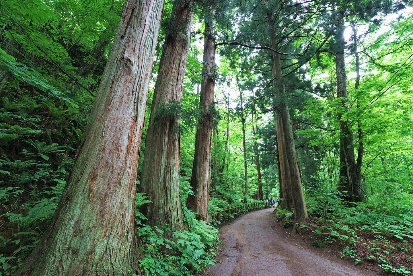 ⛩️ 도와다 신사(十和田神社)